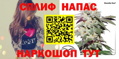 гашик Мариинск