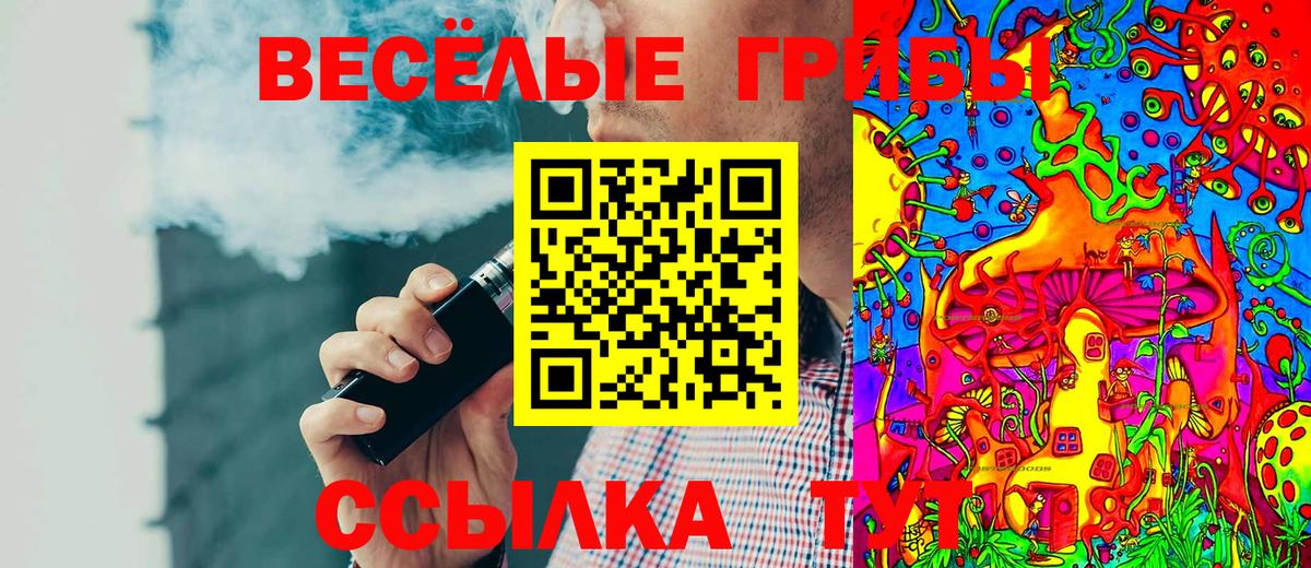 Усть-Джегута  Псилоцибиновые грибы MAGIC MUSHROOMS  Псилоцибиновые грибы мицелий  Вход с VPN 